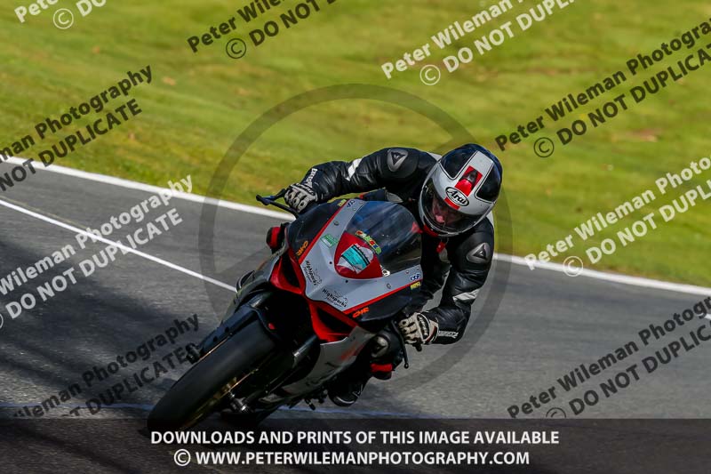 Oulton Park 20th March 2020;PJ Motorsport Photography 2020;anglesey;brands hatch;cadwell park;croft;donington park;enduro digital images;event digital images;eventdigitalimages;mallory;no limits;oulton park;peter wileman photography;racing digital images;silverstone;snetterton;trackday digital images;trackday photos;vmcc banbury run;welsh 2 day enduro